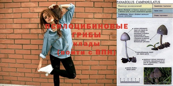 альфа пвп Кулебаки