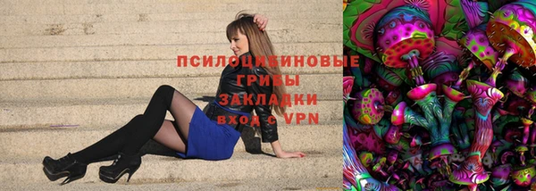 гидропоника Кукмор