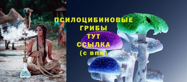 гидропоника Кукмор