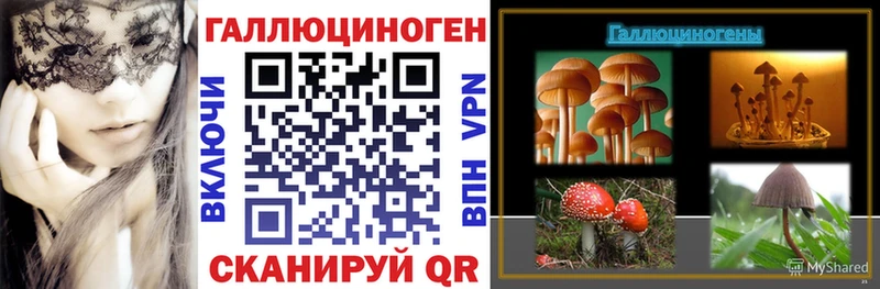 Псилоцибиновые грибы Cubensis  Купить  Канск 